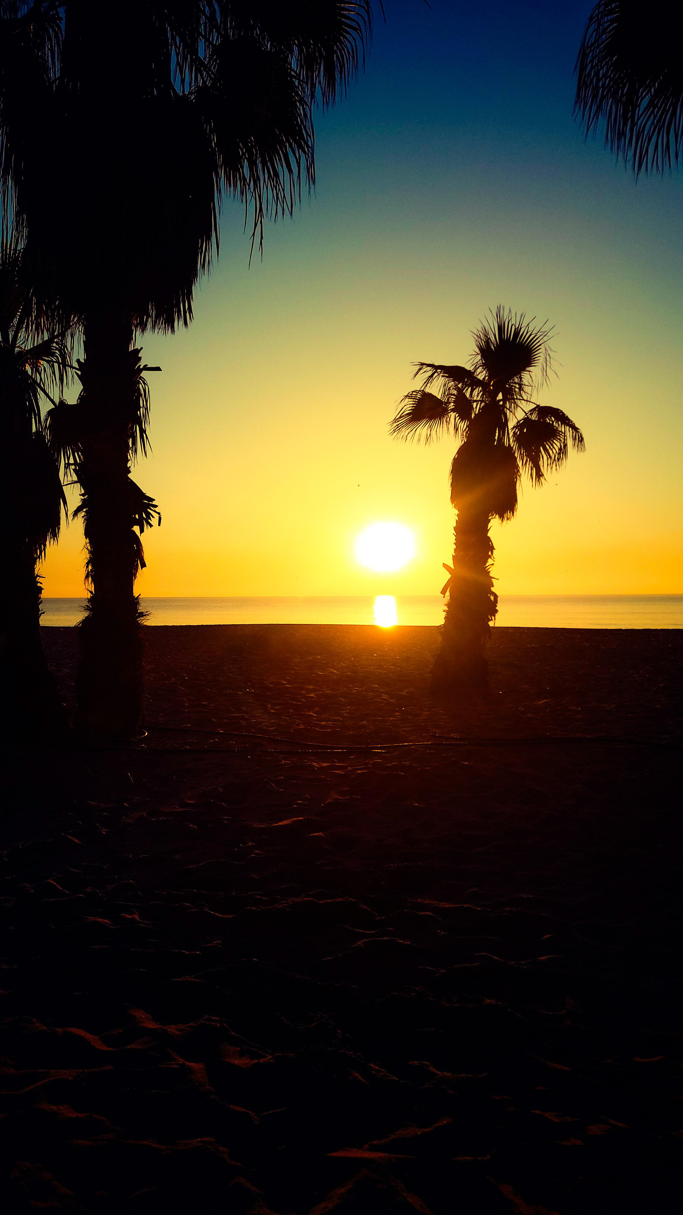 Alicante